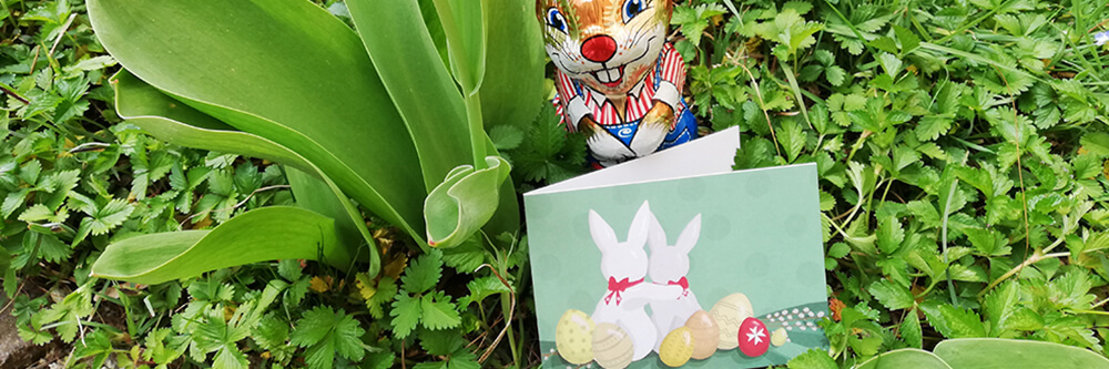 Malteser Salzburg Osterpost Betreute BB