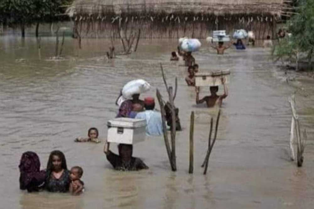 Malteser International Pakistan Ueberschwemmungen 0006