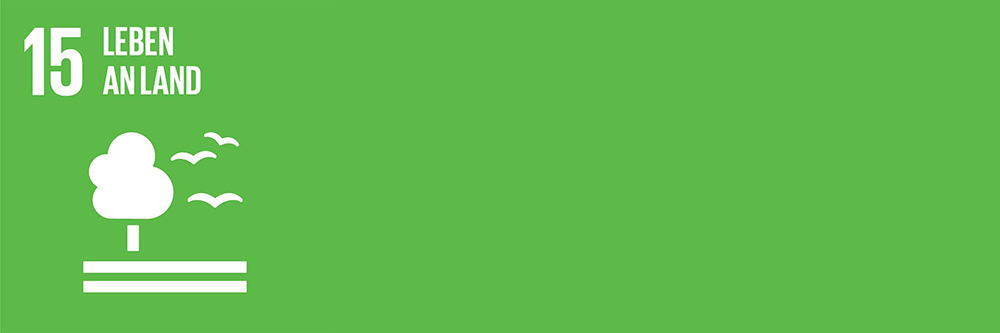 SDG Logo Ziel 15 Leben an Land