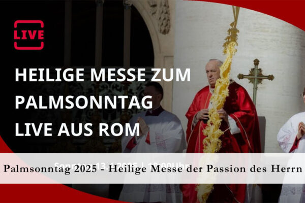 Titelbild Palmsonntag Petersdom Papst Franziskus 2025
