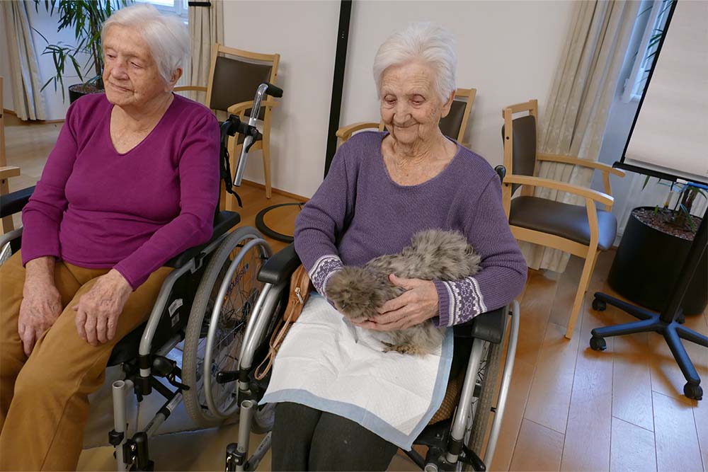 Malteser Ordenshaus Besuch Seidenhühner 07 Malteser Ordenshaus Besuch Seidenhühner 07